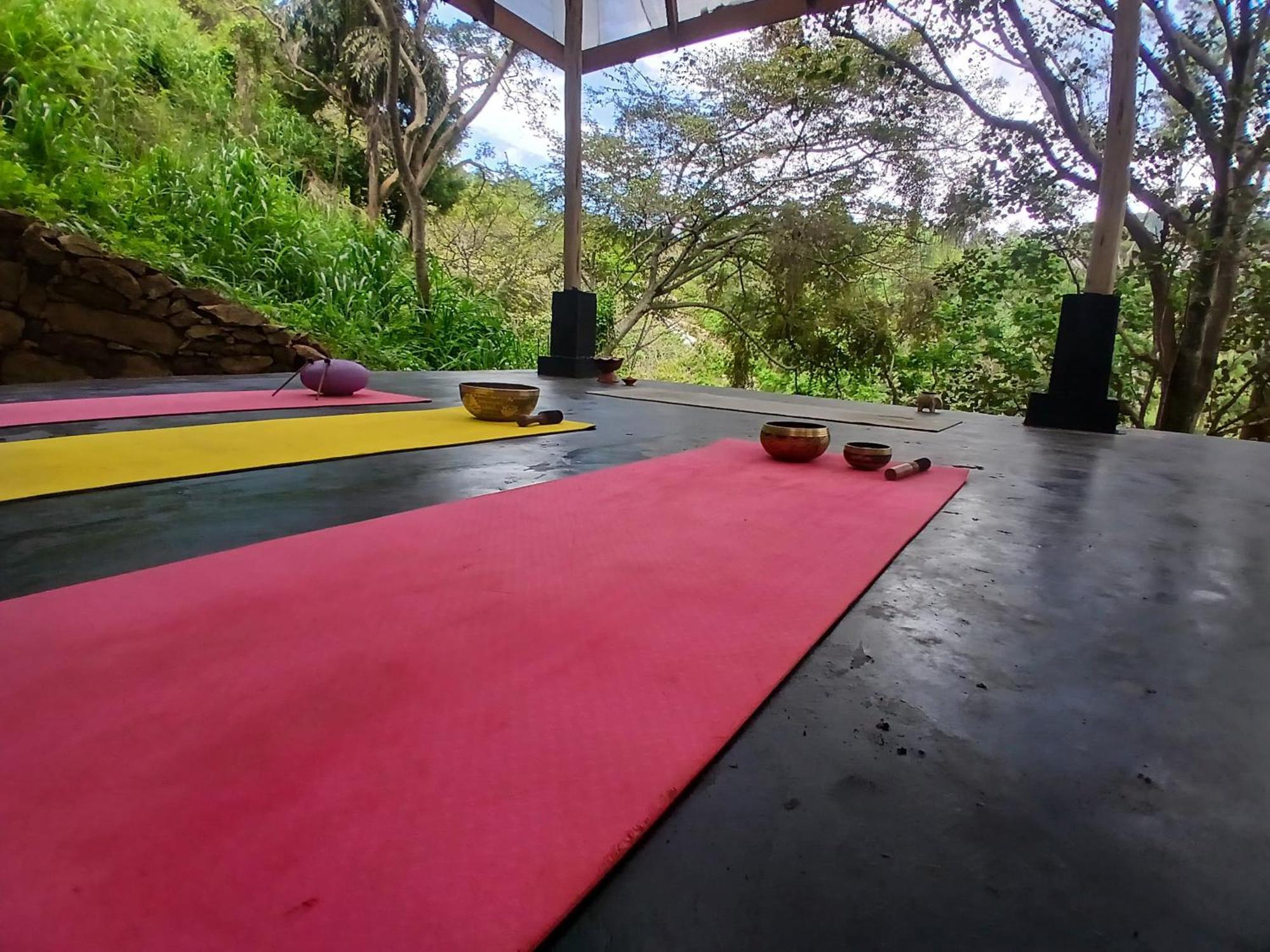 Retreat Glamping Tent For Nature Lovers Ella
